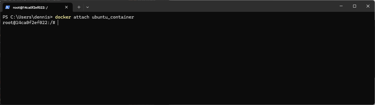 docker attach